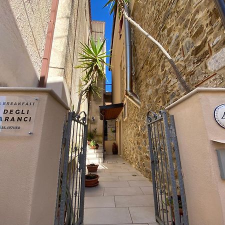B&B Degli Aranci Palinuro Zewnętrze zdjęcie