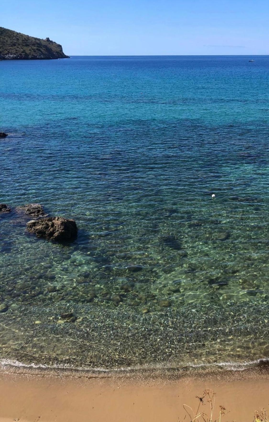 B&B Degli Aranci Palinuro Zewnętrze zdjęcie